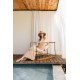 B460 - Type - BEACHWEAR LONG SUNSET- (B460) B460 - Type - BEACHWEAR LONG SUNSET- (B460)
