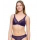 Triumph Amourette W Triumph Amourette W