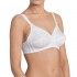 Triumph Doreen and Cotton 01 N