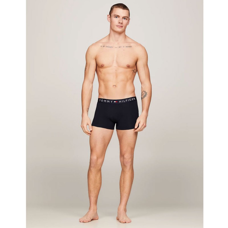 Tommy Hilfiger - Ανδρικά Μπόξερ TH Original Logo Waistband 3-PACK Trunks