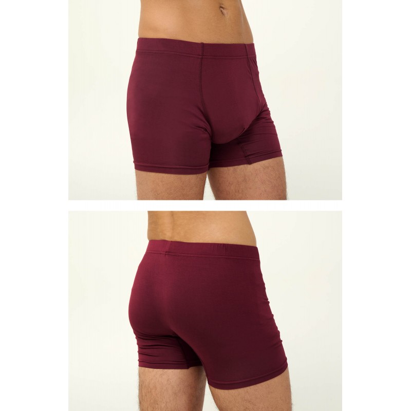 Ανδρικό Micromodal Μακρύ Μποξεράκι RED WINDSOR (23857-RED WINDSOR) Ανδρικό Micromodal Μακρύ Μποξεράκι RED WINDSOR (23857-RED WINDSOR)