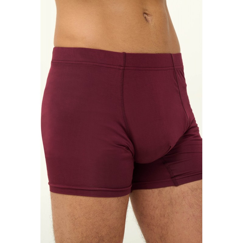 Ανδρικό Micromodal Μακρύ Μποξεράκι RED WINDSOR (23857-RED WINDSOR) Ανδρικό Micromodal Μακρύ Μποξεράκι RED WINDSOR (23857-RED WINDSOR)