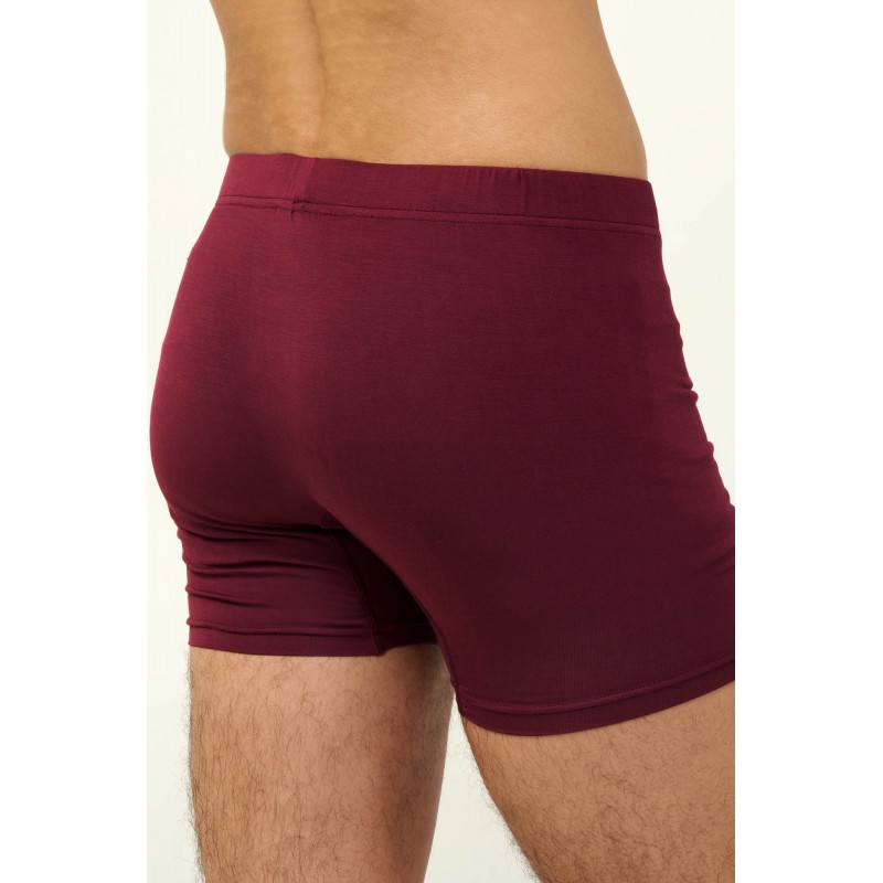 Ανδρικό Micromodal Μακρύ Μποξεράκι RED WINDSOR (23857-RED WINDSOR) Ανδρικό Micromodal Μακρύ Μποξεράκι RED WINDSOR (23857-RED WINDSOR)