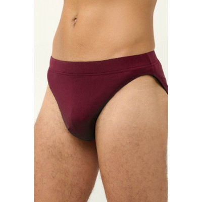 Μονόχρωμο Ανδρικό Micromodal Σλιπ RED WINDSOR (23856-RED WINDSOR)