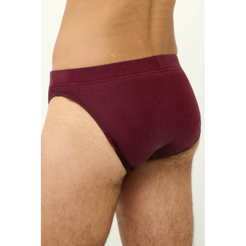 Μονόχρωμο Ανδρικό Micromodal Σλιπ RED WINDSOR (23856-RED WINDSOR) Μονόχρωμο Ανδρικό Micromodal Σλιπ RED WINDSOR (23856-RED WINDSOR)