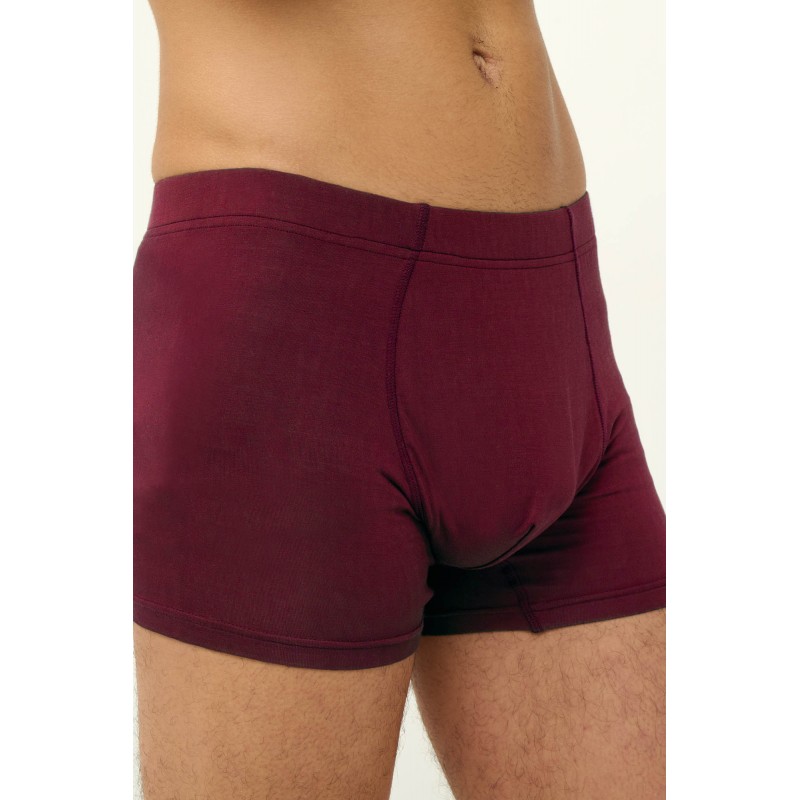 Μονόχρωμο Ανδικό Micromodal Μποξεράκι RED WINDSOR (23855-RED WINDSOR)