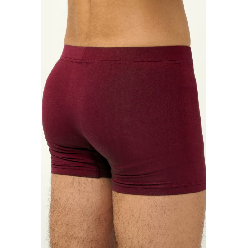 Μονόχρωμο Ανδικό Micromodal Μποξεράκι RED WINDSOR (23855-RED WINDSOR)