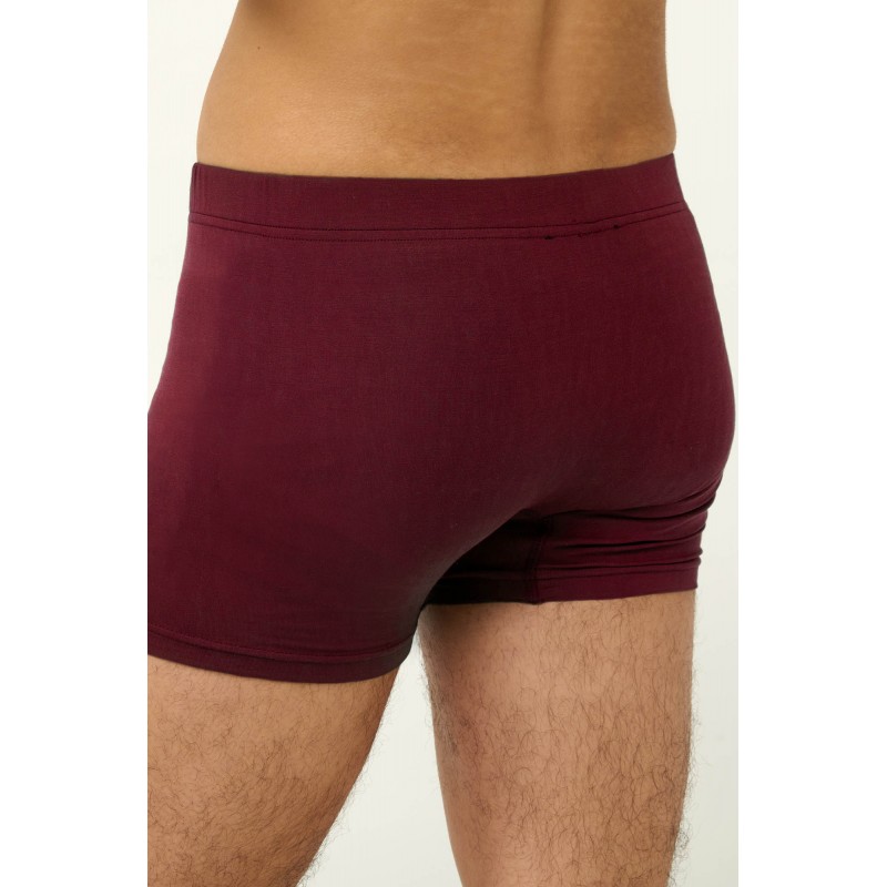 Μονόχρωμο Ανδικό Micromodal Μποξεράκι RED WINDSOR (23855-RED WINDSOR)