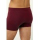 Μονόχρωμο Ανδικό Micromodal Μποξεράκι RED WINDSOR (23855-RED WINDSOR)